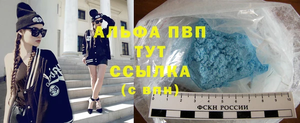 стаф Козловка