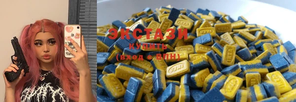 стаф Козловка
